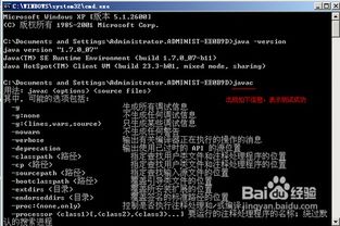 計算機軟件開發與Java語言的背景及發展歷史